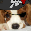 Puppypiratepatch.png