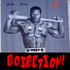 File:Bojection.png