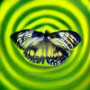 File:Hypnofly.png