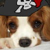 File:Puppypirate.png