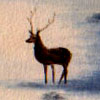 idea's avatar - stag detail by Edith Rushworth