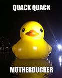 Quack quack buddy.jpg